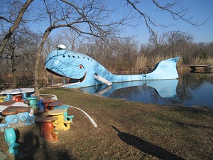 Blue Whale Swimming Hole