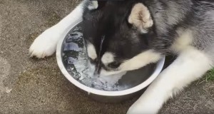 Maya Blowing Bubbles