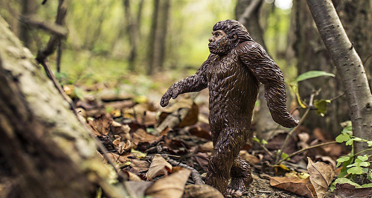 Bigfoot