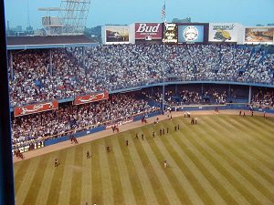 Tiger Stadium Crown