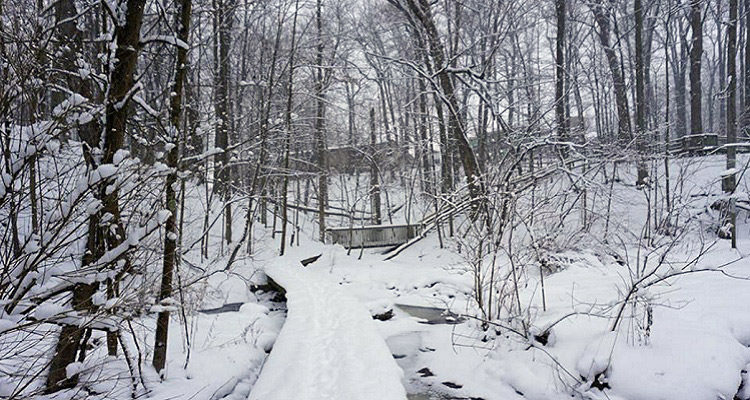 Blandford Nature Center