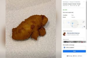 Chicken Tender that looks like a Manatee