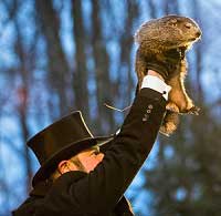 Punxsutawney Phil