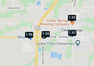 Gas Prices in Cedar Springs