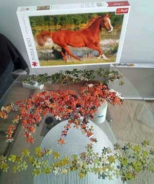 Horse Jigsaw Puzzle