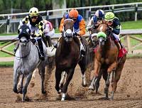 Horse Racing