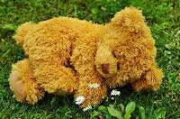 Sleeping Teddy Bear