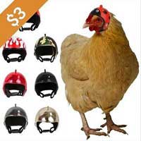 Chicken Helmets