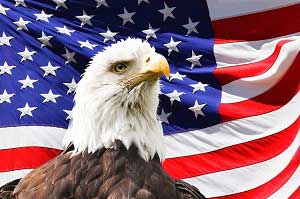 Eagle and American Flag