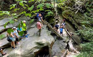 Turkey Run State Park Trail Ladders